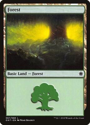 Forest (067) card from Magic Game Night