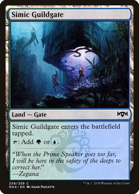 Simic Guildgate (258) card from Ravnica Allegiance