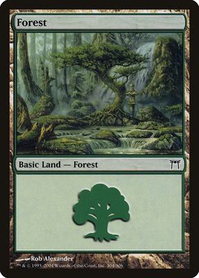 Forest (304) card from Champions of Kamigawa