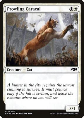 Prowling Caracal card from Ravnica Allegiance