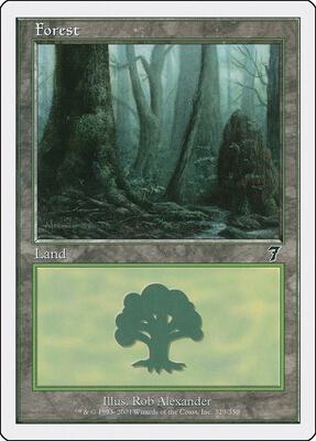 Forest (329) card from 7th Edition