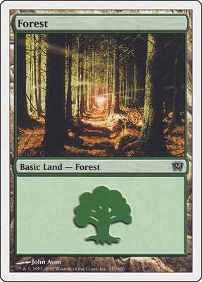Forest (347) card from 9th Edition