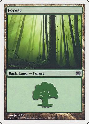 Forest (348) card from 9th Edition