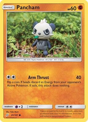 Pancham card from SM - Team Up