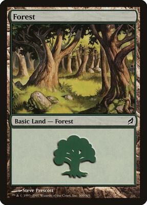 Forest (300) card from Lorwyn