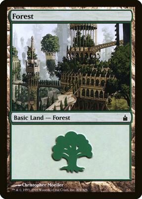 Forest (304) card from Ravnica: City of Guilds