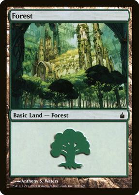 Forest (305) card from Ravnica: City of Guilds