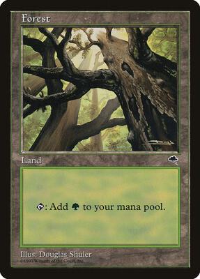 Forest (Skyward) card from Tempest