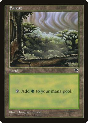 Forest (Cloudy) card from Tempest