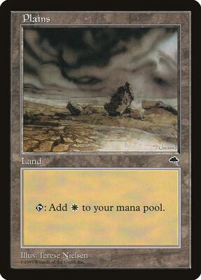 Plains (Rocks) card from Tempest
