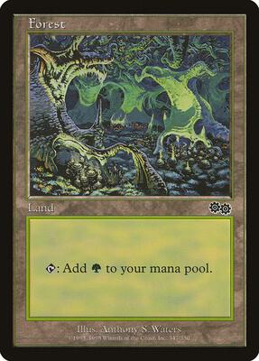 Forest (347) card from Urza's Saga