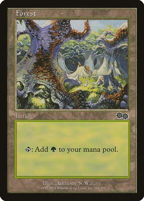 Forest (348) card from Urza's Saga