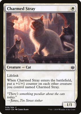 Charmed Stray card from War of the Spark