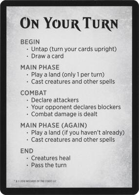 Rules Card (WAR Bundle) card from Unique and Miscellaneous Promos