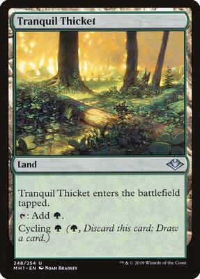 Tranquil Thicket card from Modern Horizons