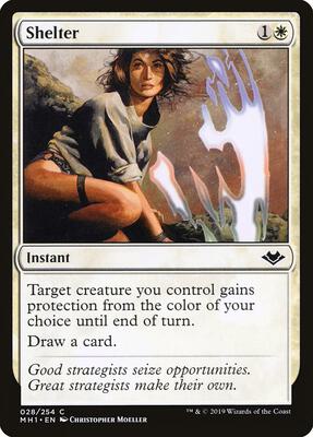 Shelter card from Modern Horizons