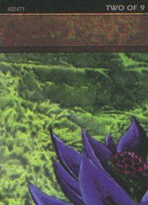 Black Lotus (2 of 9) (Ultra Pro Puzzle Quest) card from Media Promos