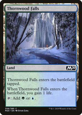 Thornwood Falls card from Core Set 2020