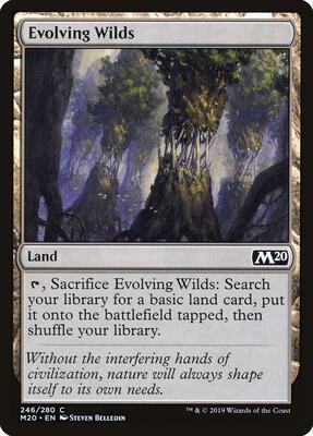 Evolving Wilds card from Core Set 2020