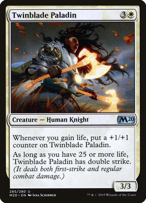 Twinblade Paladin card from Core Set 2020