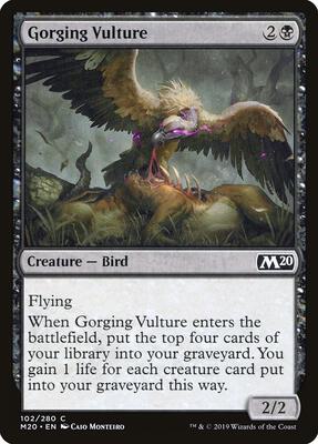 Gorging Vulture card from Core Set 2020