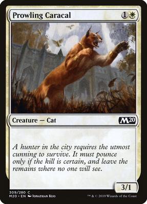 Prowling Caracal card from Core Set 2020