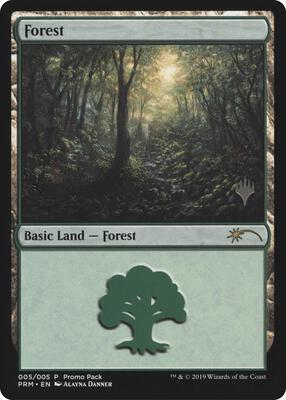 Forest card from Promo Pack: Core Set 2020