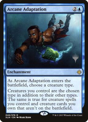 Arcane Adaptation card from Promo Pack: Core Set 2020