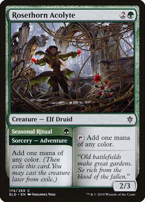 Rosethorn Acolyte card from Throne of Eldraine