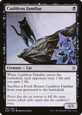 Cauldron Familiar card from Throne of Eldraine
