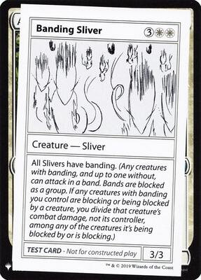 Banding Sliver card from Mystery Booster: Convention Edition Exclusives