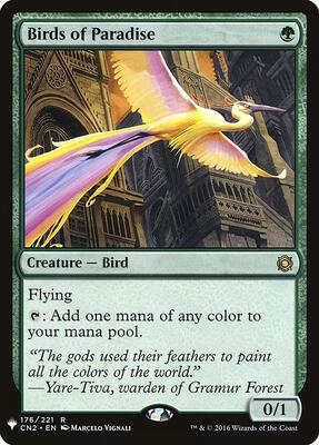 Birds of Paradise card from The List Reprints