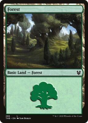 Forest (286) card from Theros Beyond Death