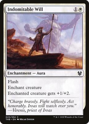 Indomitable Will card from Theros Beyond Death