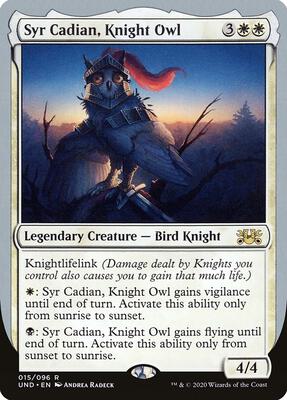 Syr Cadian, Knight Owl card from Unsanctioned