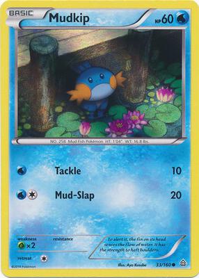 Mudkip - 33/160 (Sheen Holo) card from Miscellaneous Cards & Products