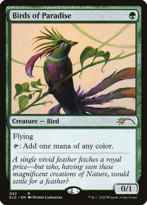 Birds of Paradise (92) card from Secret Lair Drop Series
