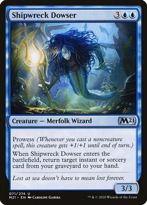 Shipwreck Dowser card from Core Set 2021