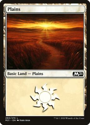 Plains (260) card from Core Set 2021