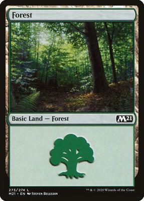 Forest (273) card from Core Set 2021