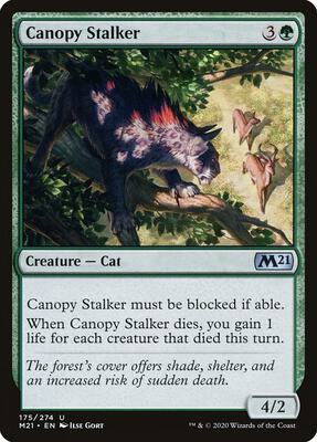Canopy Stalker card from Core Set 2021