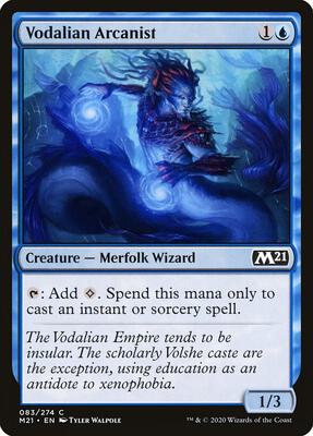 Vodalian Arcanist card from Core Set 2021