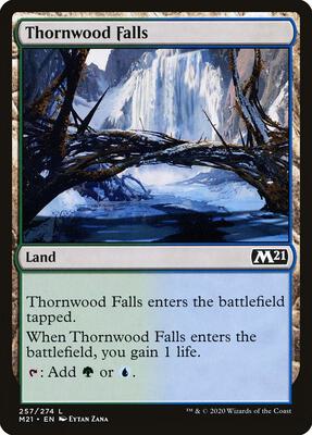 Thornwood Falls card from Core Set 2021