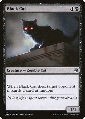Black Cat card from Jumpstart
