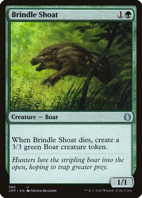 Brindle Shoat card from Jumpstart