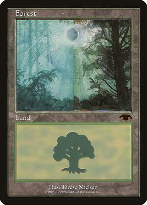 Forest - Guru card from Guru Lands