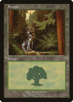 Forest - Schwarzwald card from European Lands