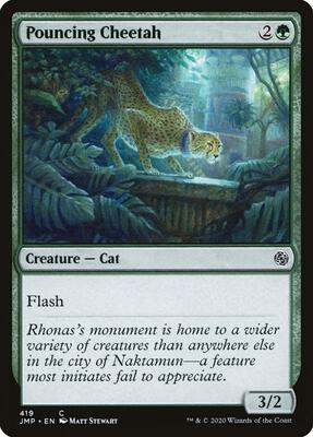 Pouncing Cheetah card from Jumpstart
