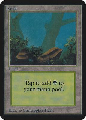 Forest (A) card from Alpha Edition