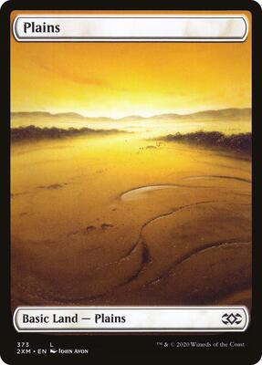 Plains (373) card from Double Masters